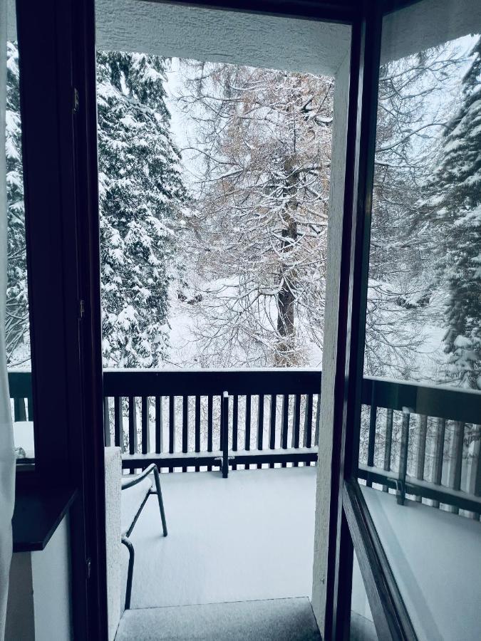 Cabana Din Poienita Poiana Braşov Dış mekan fotoğraf