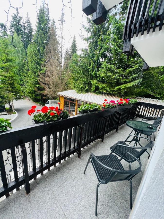 Cabana Din Poienita Poiana Braşov Dış mekan fotoğraf