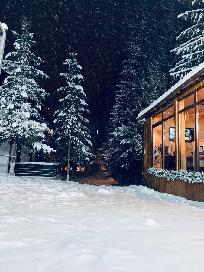 Cabana Din Poienita Poiana Braşov Dış mekan fotoğraf