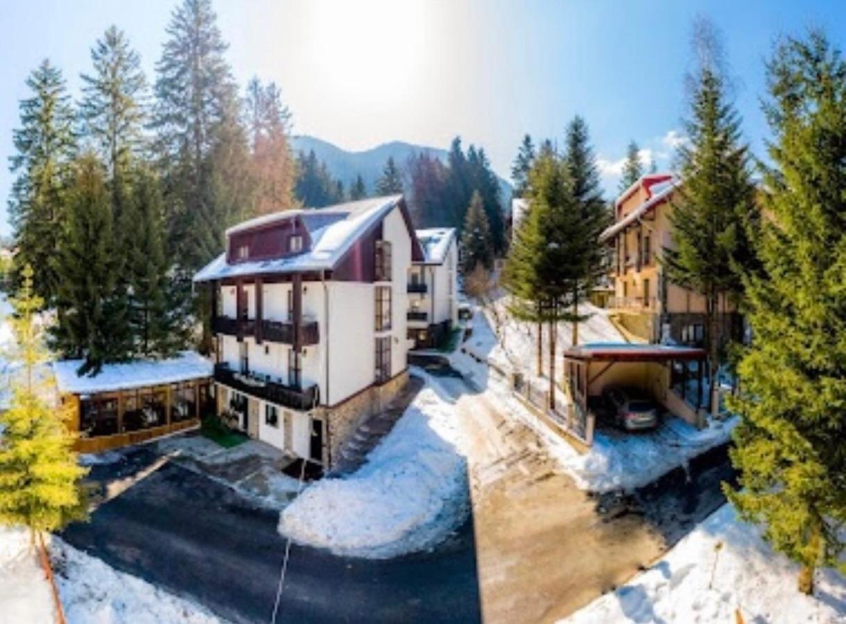 Cabana Din Poienita Poiana Braşov Dış mekan fotoğraf