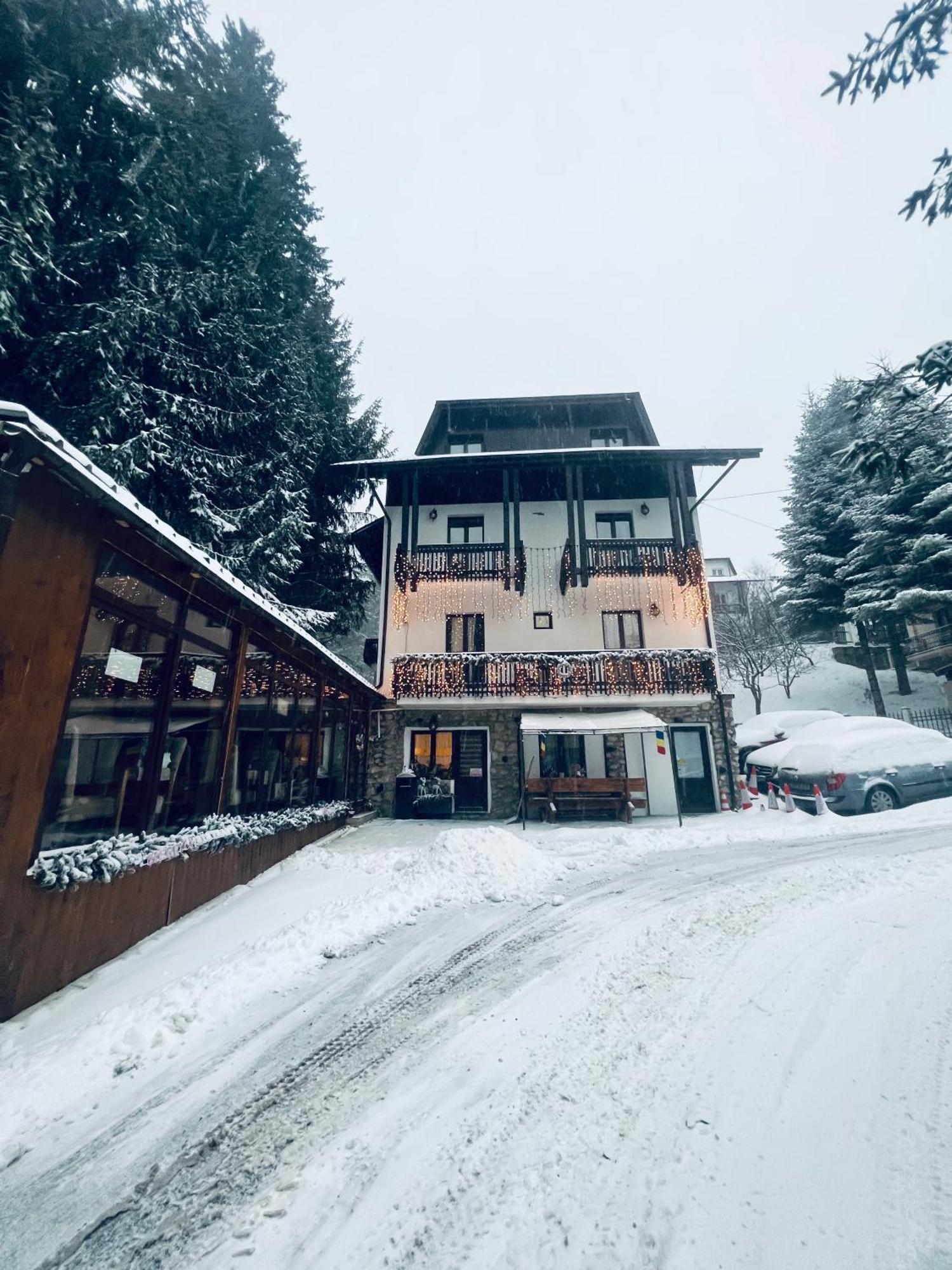Cabana Din Poienita Poiana Braşov Dış mekan fotoğraf
