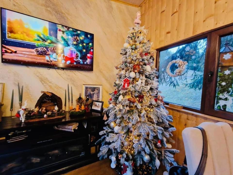 Cabana Din Poienita Poiana Braşov Dış mekan fotoğraf