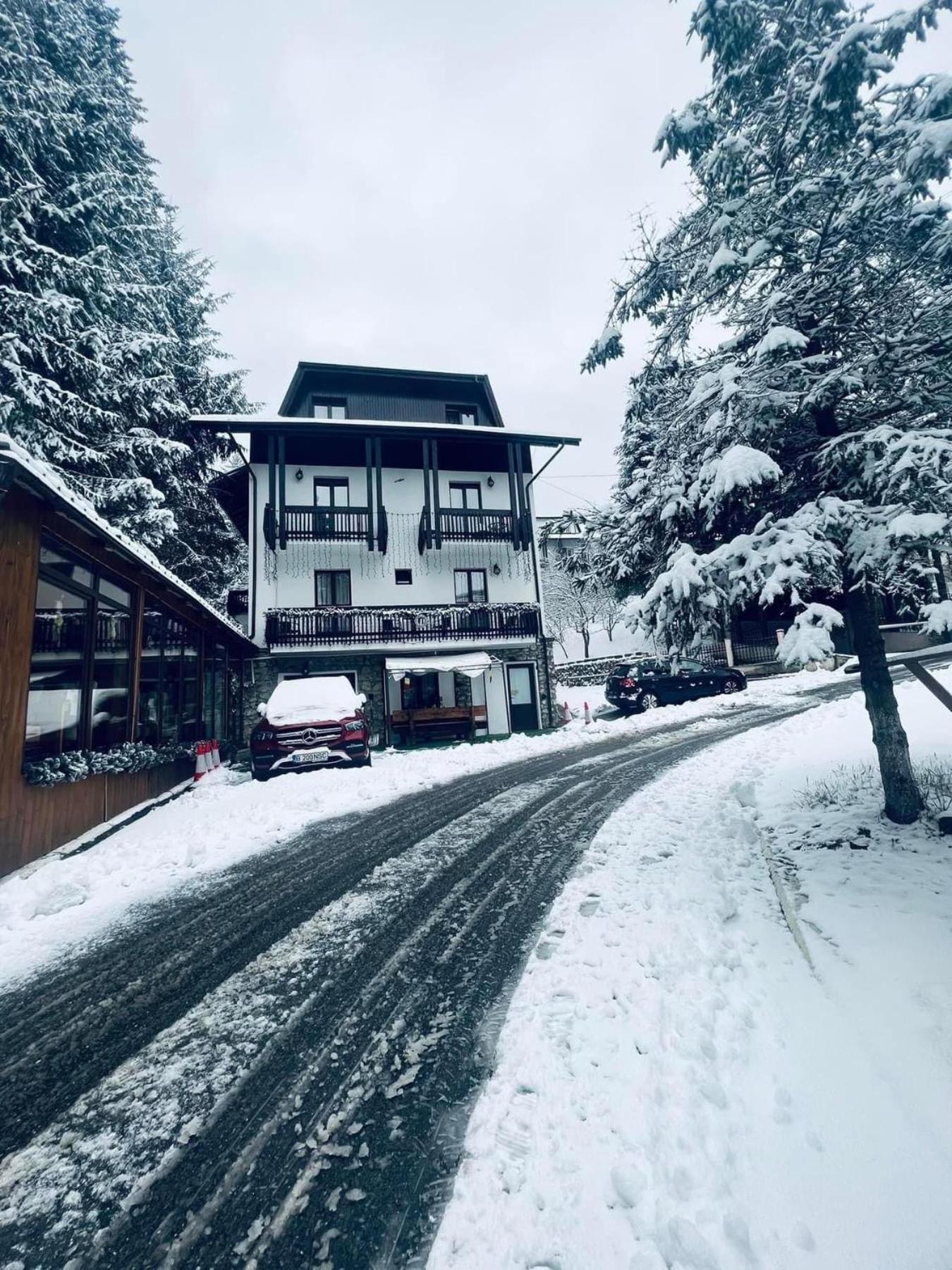 Cabana Din Poienita Poiana Braşov Dış mekan fotoğraf