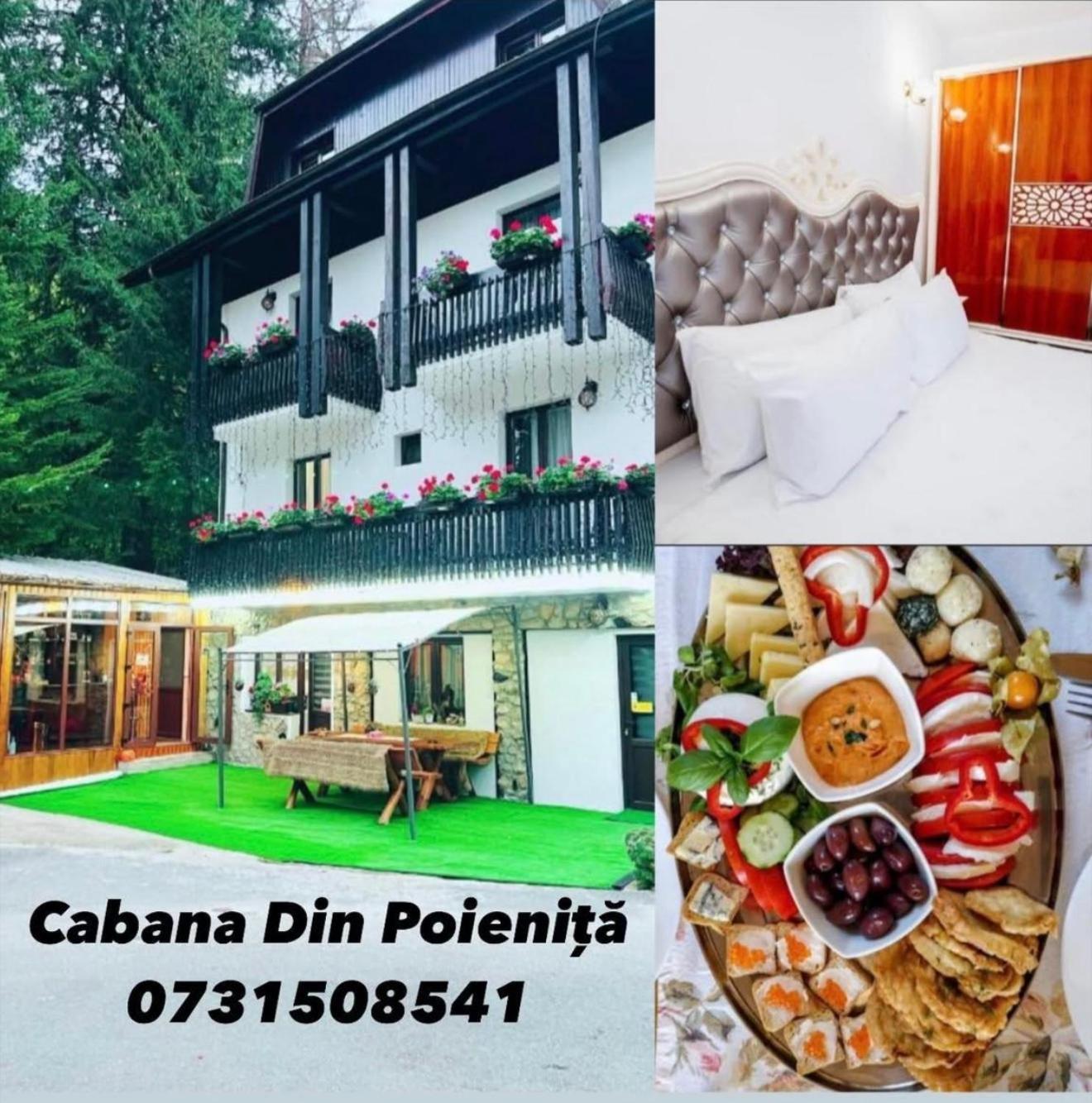 Cabana Din Poienita Poiana Braşov Dış mekan fotoğraf